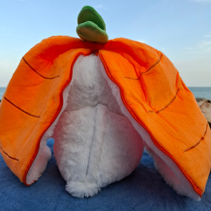 Breathing Bunny Plush (carrot and strawberry)